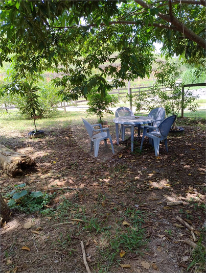 Foto REO1095971