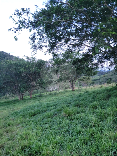 Foto REO1095971