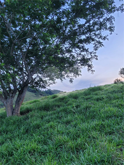 Foto REO1095971