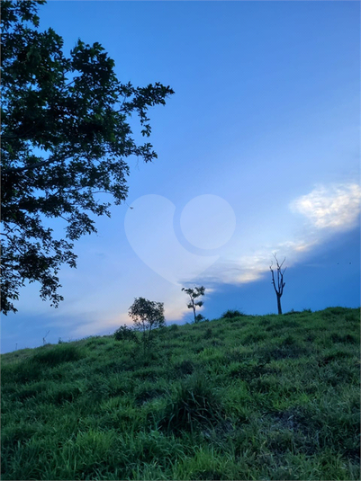 Foto REO1095971