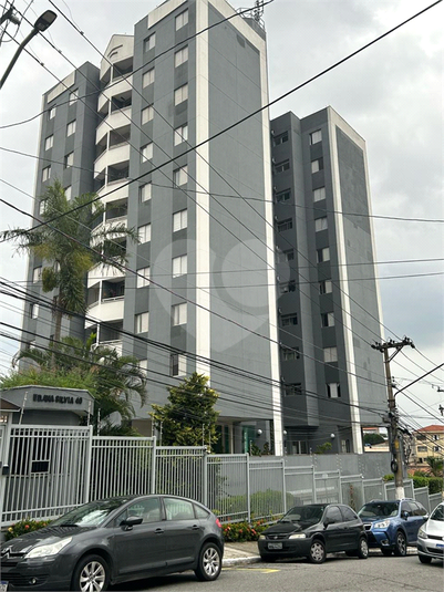 Foto REO1095982