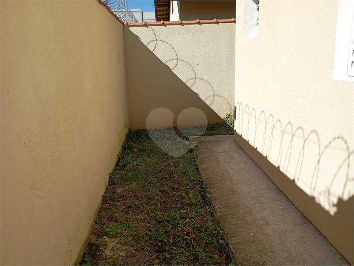 Foto REO1095995