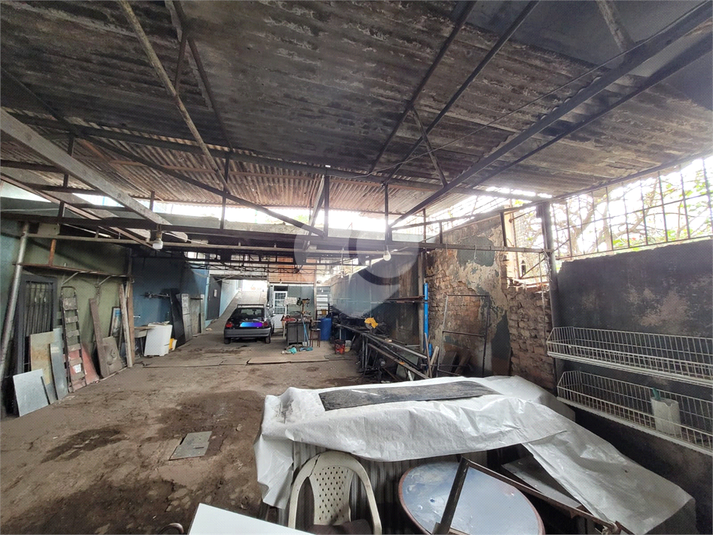 Foto REO1096010