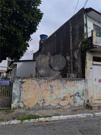 Foto REO1096048