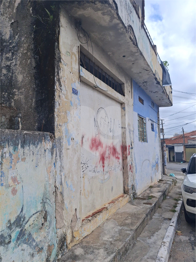 Foto REO1096048