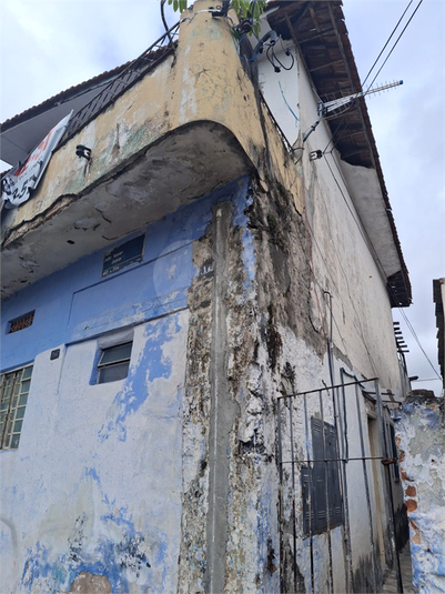 Foto REO1096048
