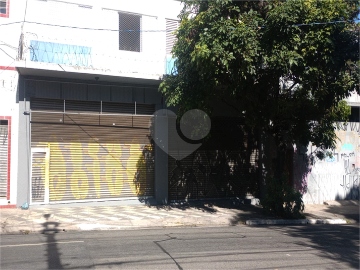 Foto REO1096061