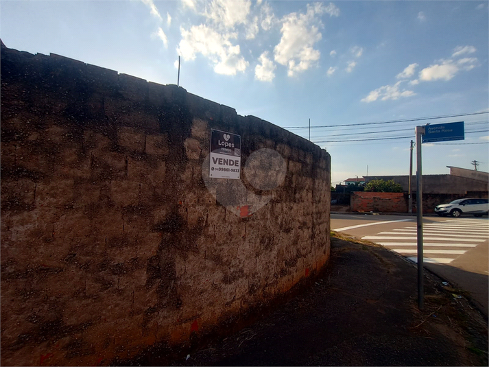 Foto REO1096064