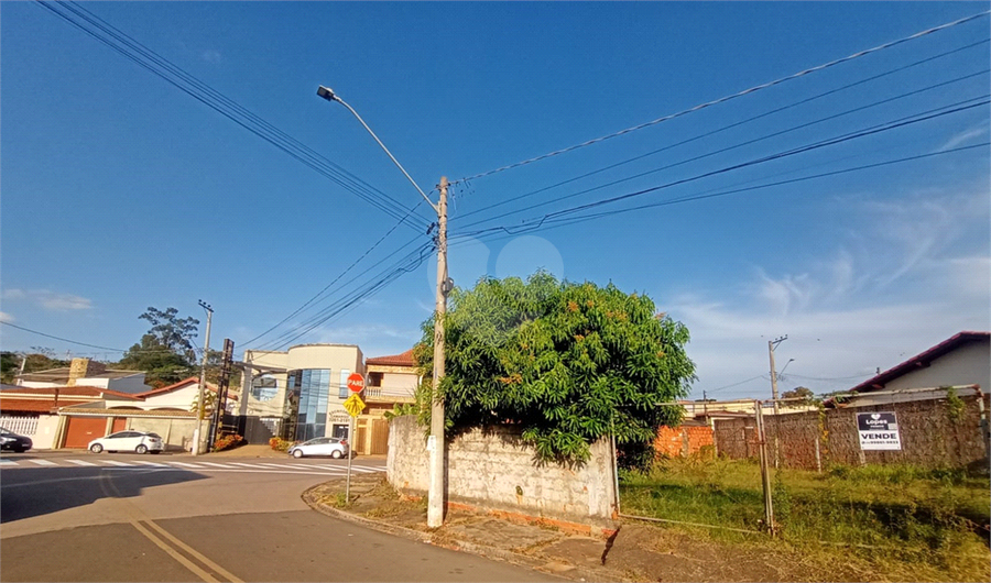 Foto REO1096064