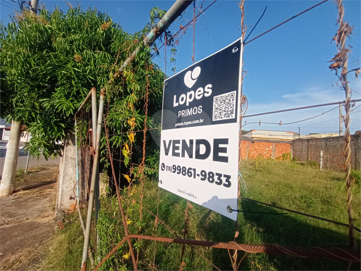 Foto REO1096064