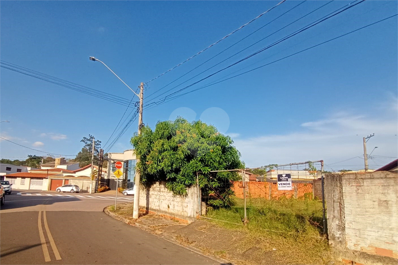 Foto REO1096064
