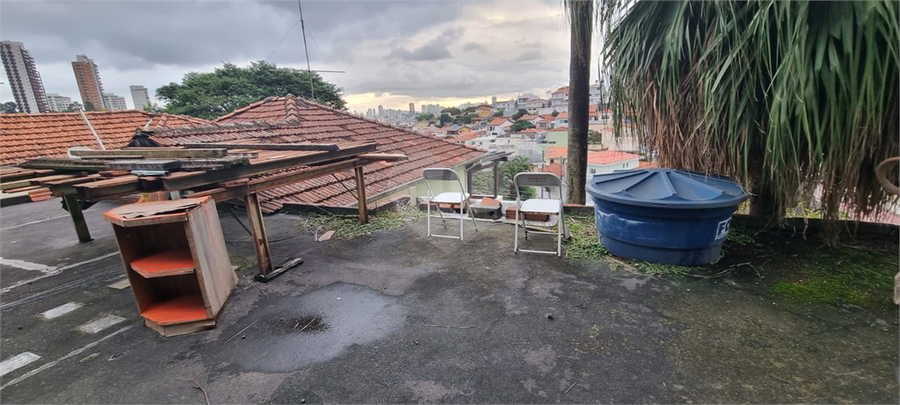 Foto REO1096083