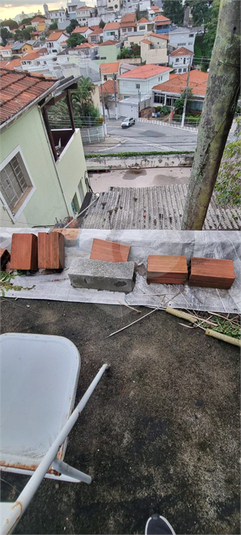 Foto REO1096083