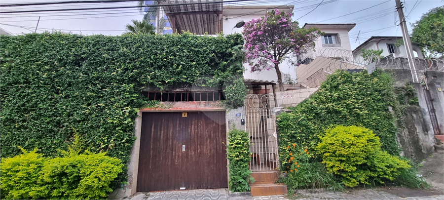 Foto REO1096083