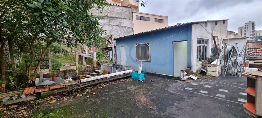Foto REO1096083