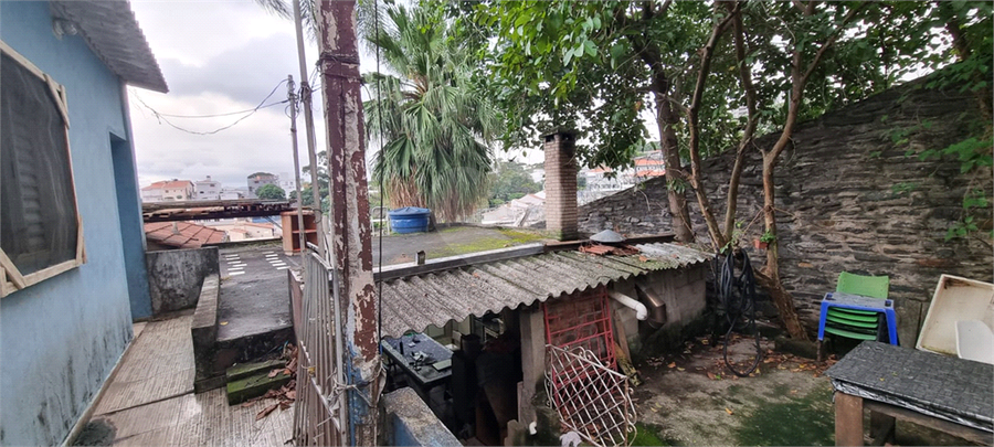 Foto REO1096083