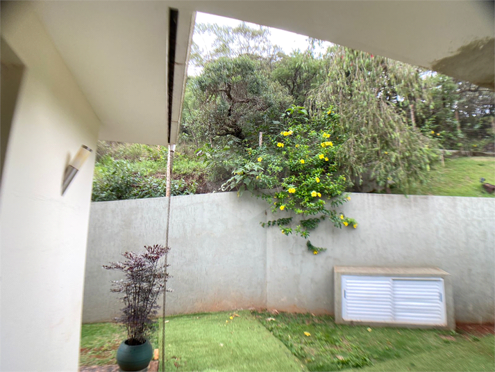 Foto REO1096087