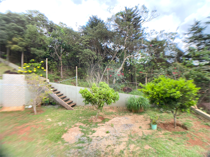 Foto REO1096087