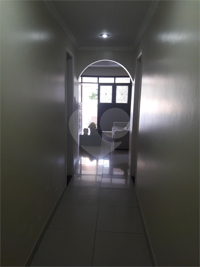 Foto REO1096117