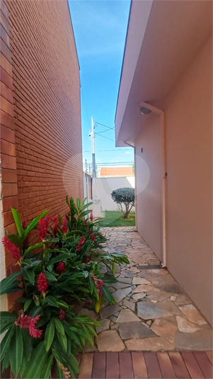 Foto REO1096119