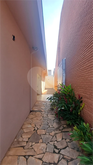 Foto REO1096119
