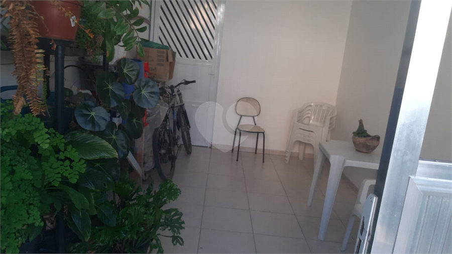 Foto REO1096125