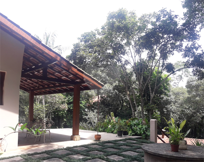 Foto REO1096127