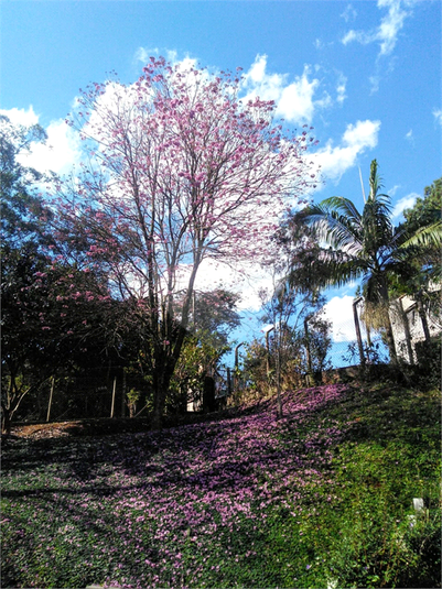 Foto REO1096127