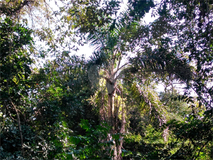 Foto REO1096127