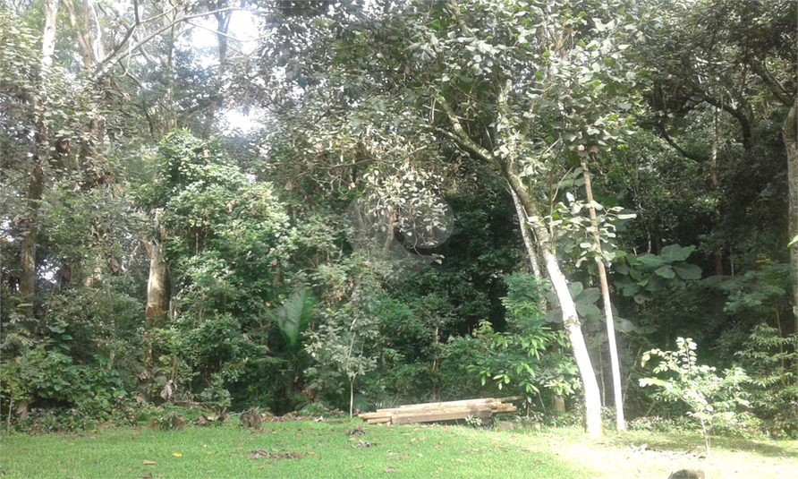 Foto REO1096127