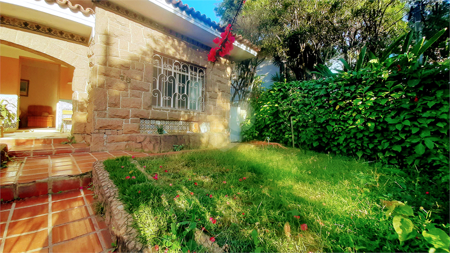 Foto REO1096132