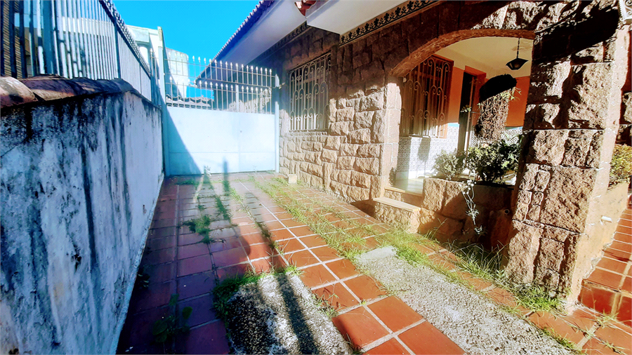 Foto REO1096132
