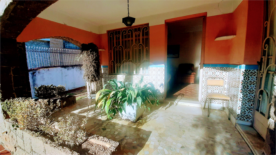 Foto REO1096132