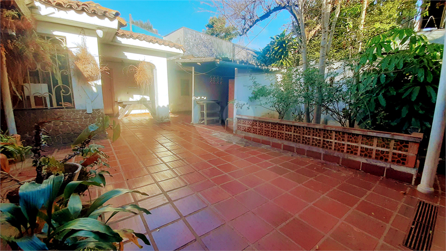 Foto REO1096132