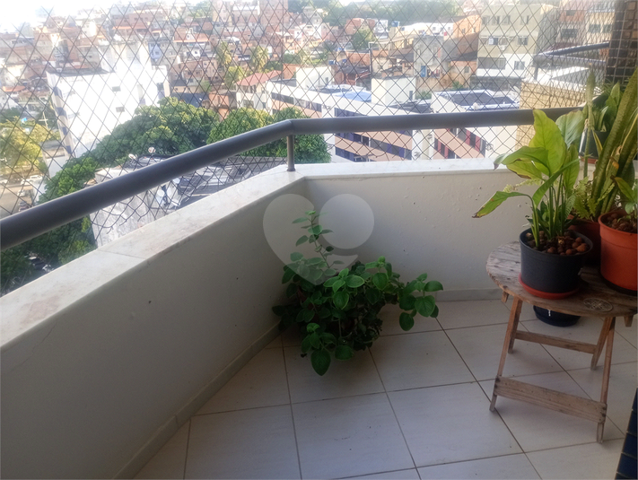 Foto REO1096133