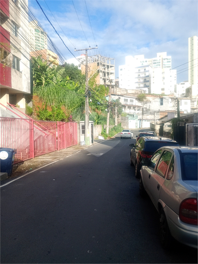 Foto REO1096133
