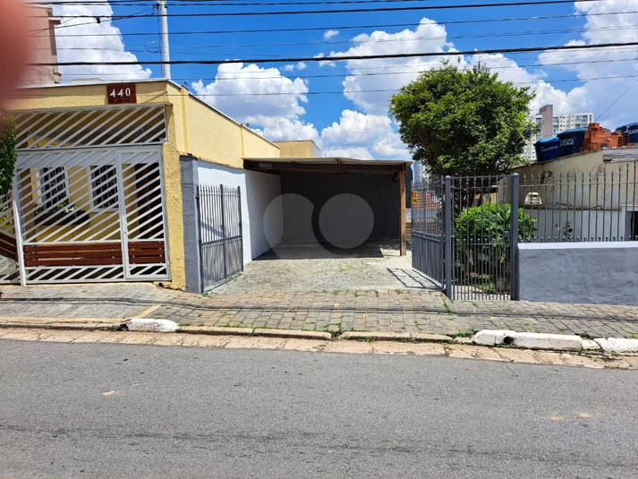 Foto REO1096134