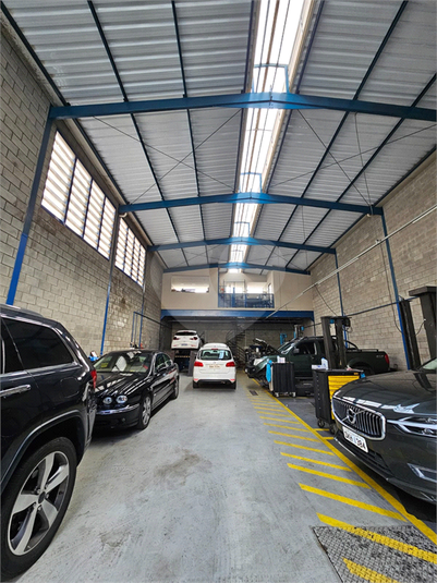 Foto REO1096136