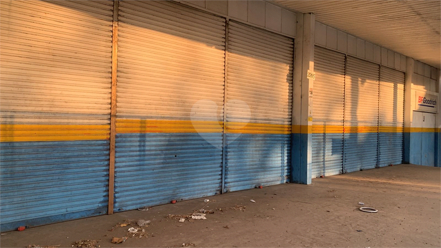 Foto REO1096138