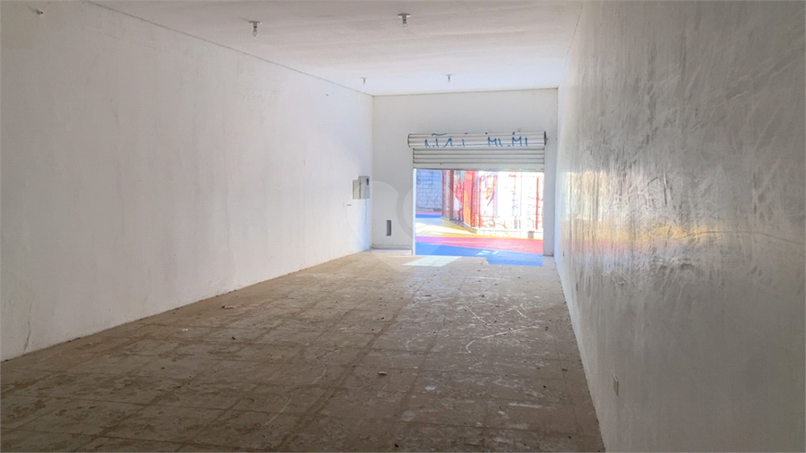 Foto REO1096147