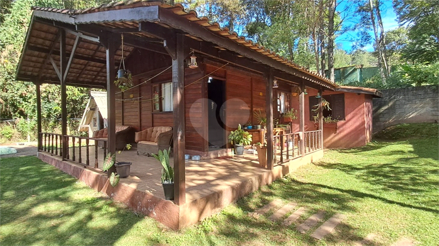 Foto REO1096152