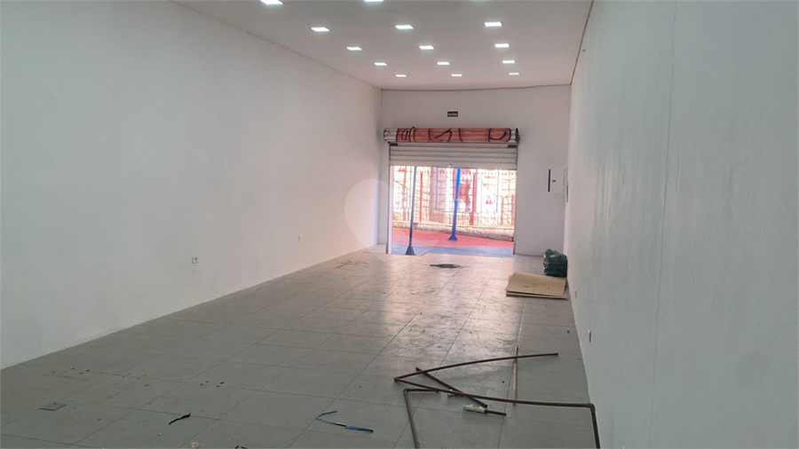 Foto REO1096153