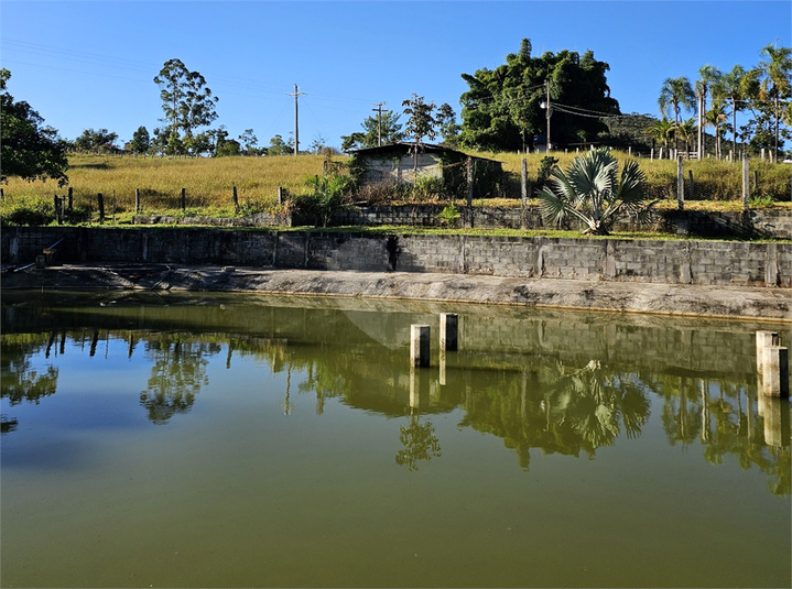 Foto REO1096172