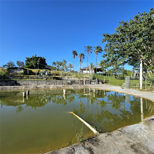 Foto REO1096172