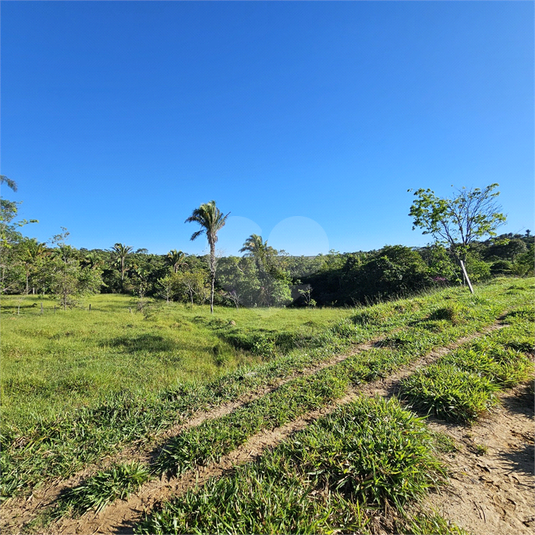 Foto REO1096172