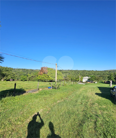 Foto REO1096172