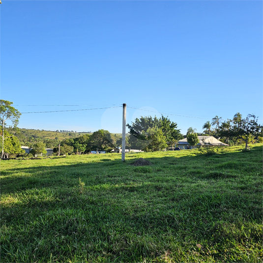 Foto REO1096172
