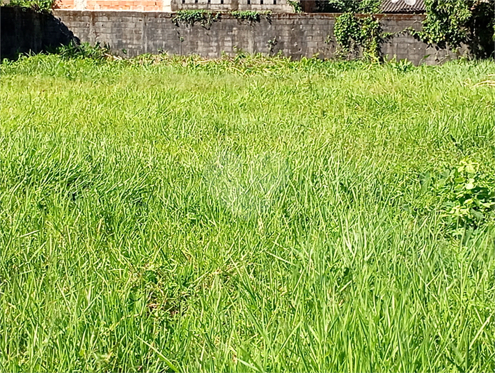 Foto REO1096174