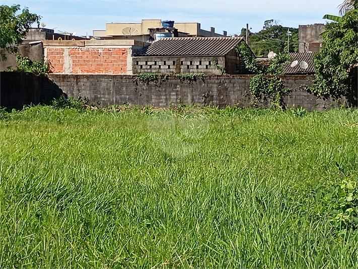 Foto REO1096174
