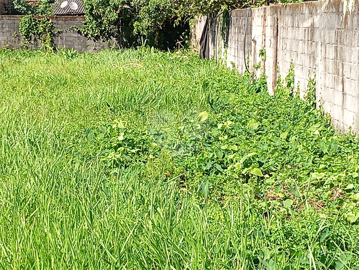 Foto REO1096174